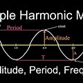 Simple Harmonic Motion Line Graph