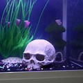 Skull Aquarium Decor