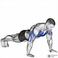 Standard Push-Up Posterior View