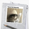 Texan Cat Meowdy