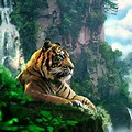 Tiger Jungle Vines Wallpaper