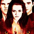 Twilight Collection Poster English