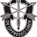 U.S. Army Special Forces Logo