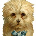 Victorian Dog Illustration Wallpaper