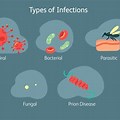 Viral Infections and Human Diseases