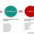 Vulnerability Risk Example