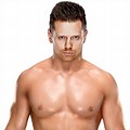 WWE Wrestlers The Miz