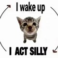 Wake Up Be Silly Cat Meme