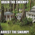 Washington DC Swamp Meme