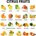What Are Examples of Citrus Fruits
