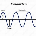 What Is the Equilibrium Transverse Wave
