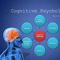 Who Studied Cognitive Psychology