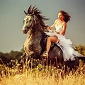 Wild Horse Ride