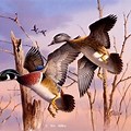 Wood Duck Painting Flying
