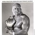 World Heavyweight Champion WWF Hulk Hogan