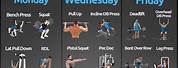 3-Day Full Body Superset Workout