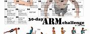 30-Day Arm and AB Challenge
