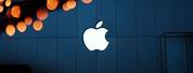 4K Apple Logo iPhone Wallpaper Leptop