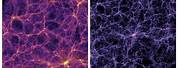 A Picture of the Universe Looking Like a Brain