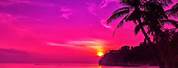 Aesthetic Pink Sunset Portrait Background