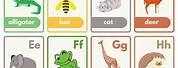 Ages Flash Cards for Kids