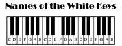 All the White Notes On the Piano