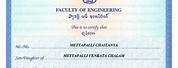 Andhra University PhD Certificate
