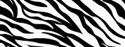 Animal Print Zebra Pattern