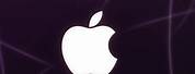 Apple Logo On iPhone Dark Purple