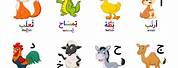 Arabic Alphabet Animal Names