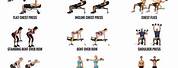 Arm Upper Body Workout with Dumbbells