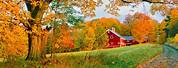 Autumn Country Scenes