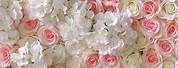 Backdrop with Champagne Blush Flower Wall