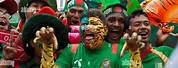 Bangladesh Cricket Fans Crowd
