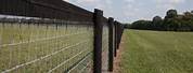 Barb Wire Field Fence for Horse