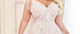 Beach Style Wedding Dresses Plus Size in Champagne