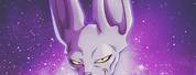Beerus Wallpaper High Quality