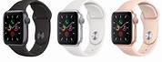 Best Buy Apple Watch Series 5