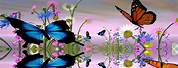 Best Free Screensavers with Butterflies