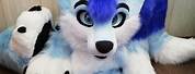Blue Fox Fursuit