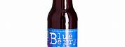 Blueberry Soda Maine Root