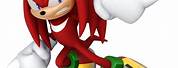 Boom Knuckles the Echidna Thote 29