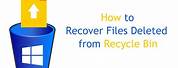 Bring Back Files Deleted From Recycle Bin