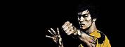 Bruce Lee Painting Background
