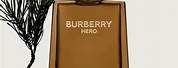 Burberry Men's Perfume