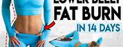 Burn Belly Fat Exercises