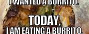 Burrito Day Funny Meme