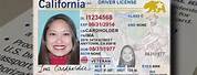 California Real ID Expiration Date DMV