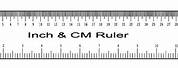 Centimeter Ruler Actual Size