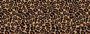 Cheetah Print Pattern Free Download